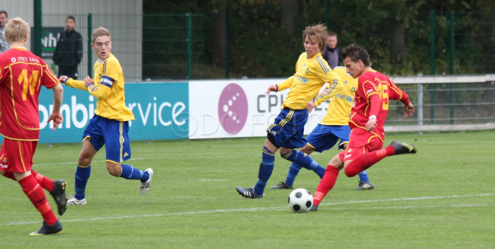 BIF FCN 003
