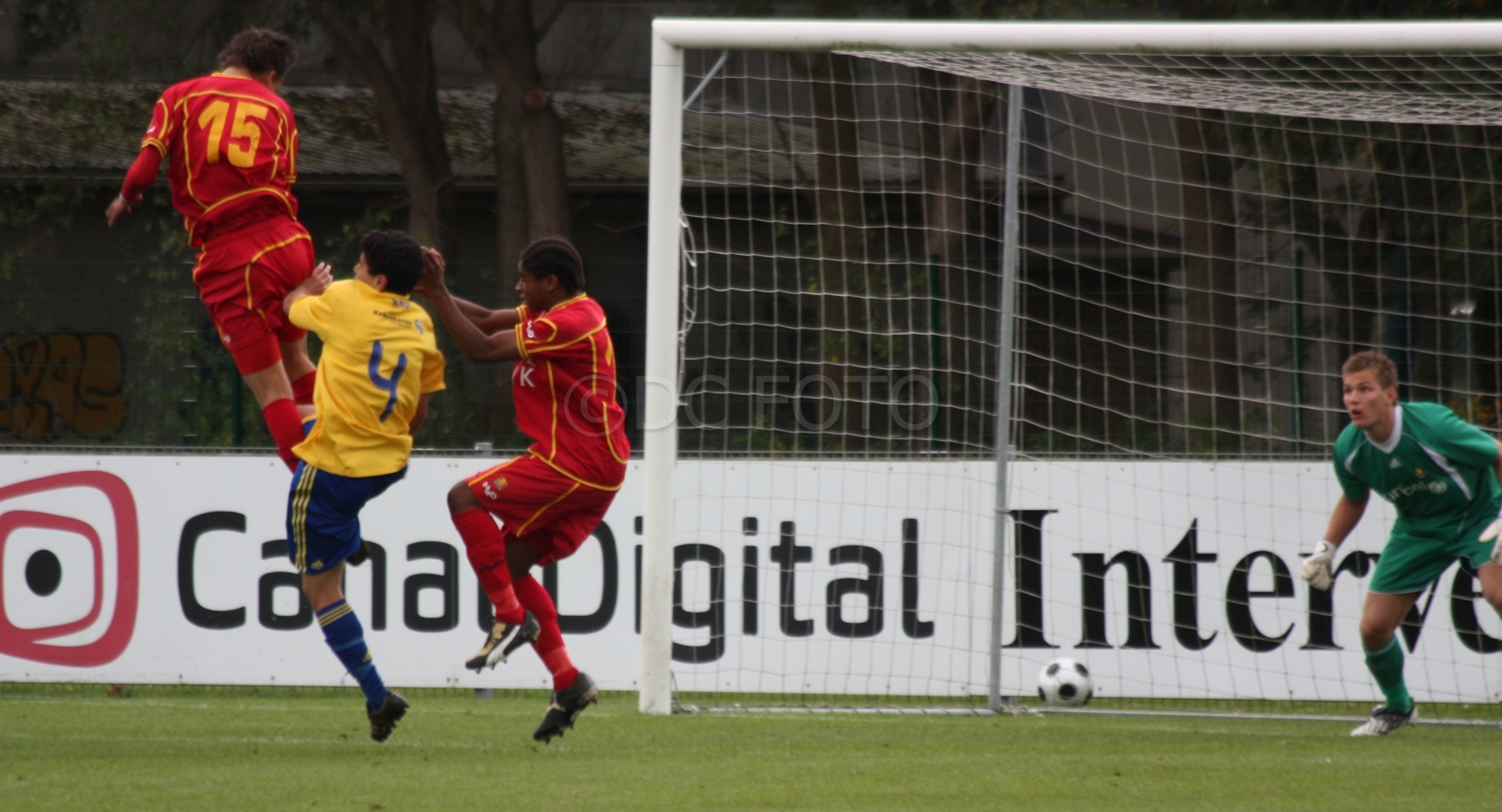 BIF FCN 008