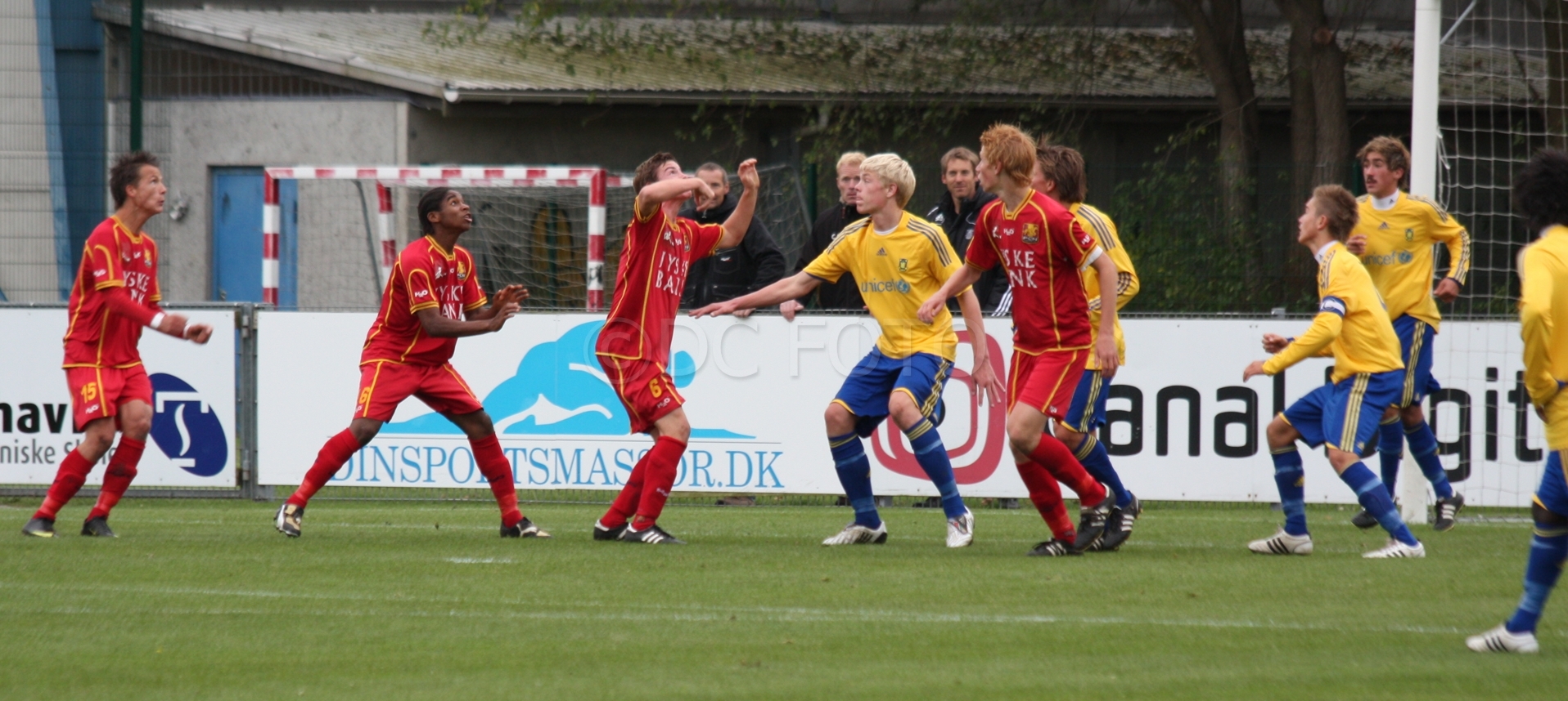BIF FCN 011