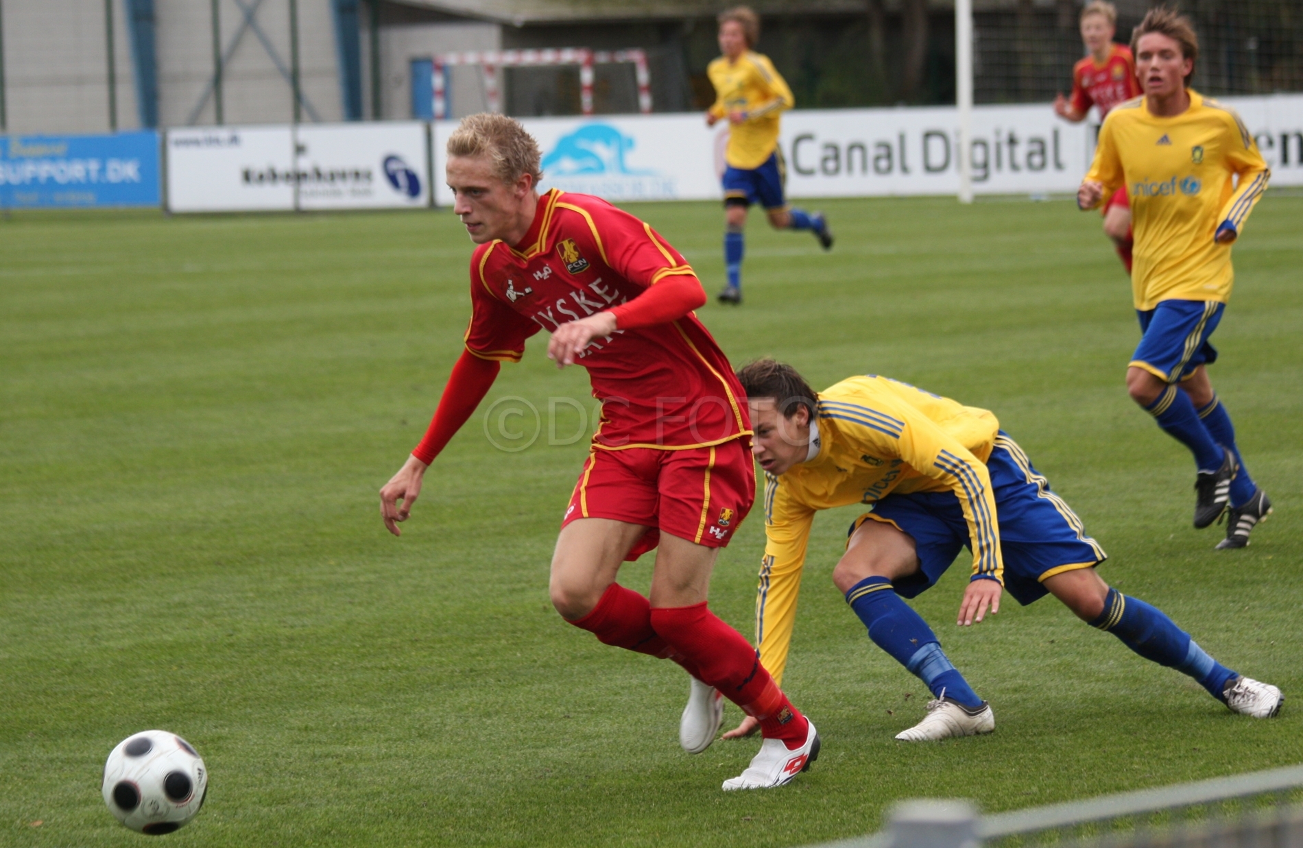 BIF FCN 041