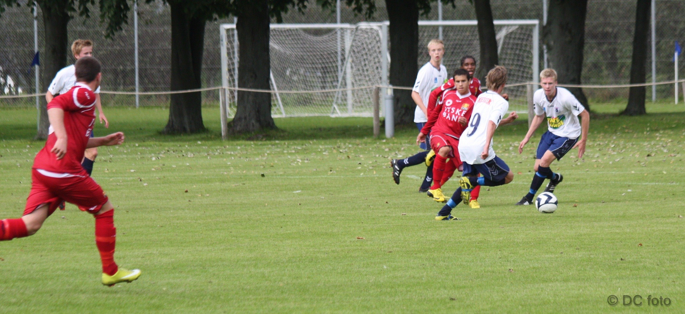 AGF FCN 029