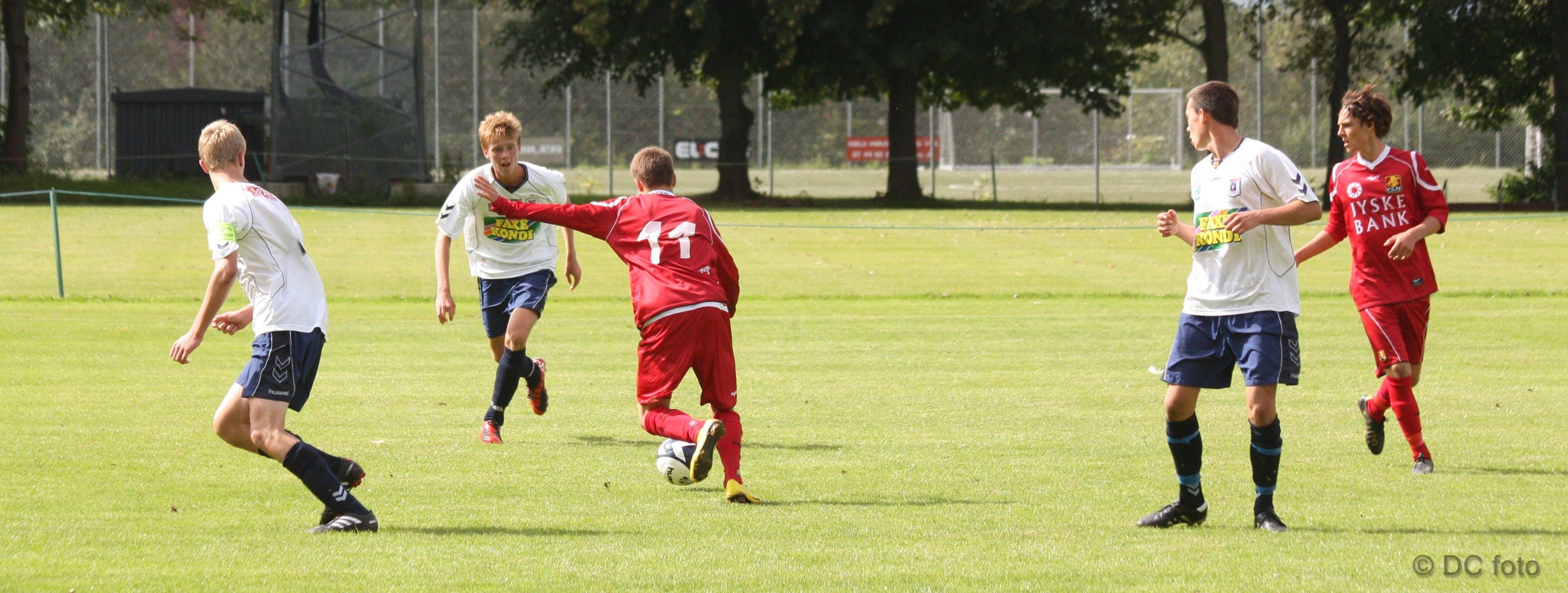 AGF FCN 065