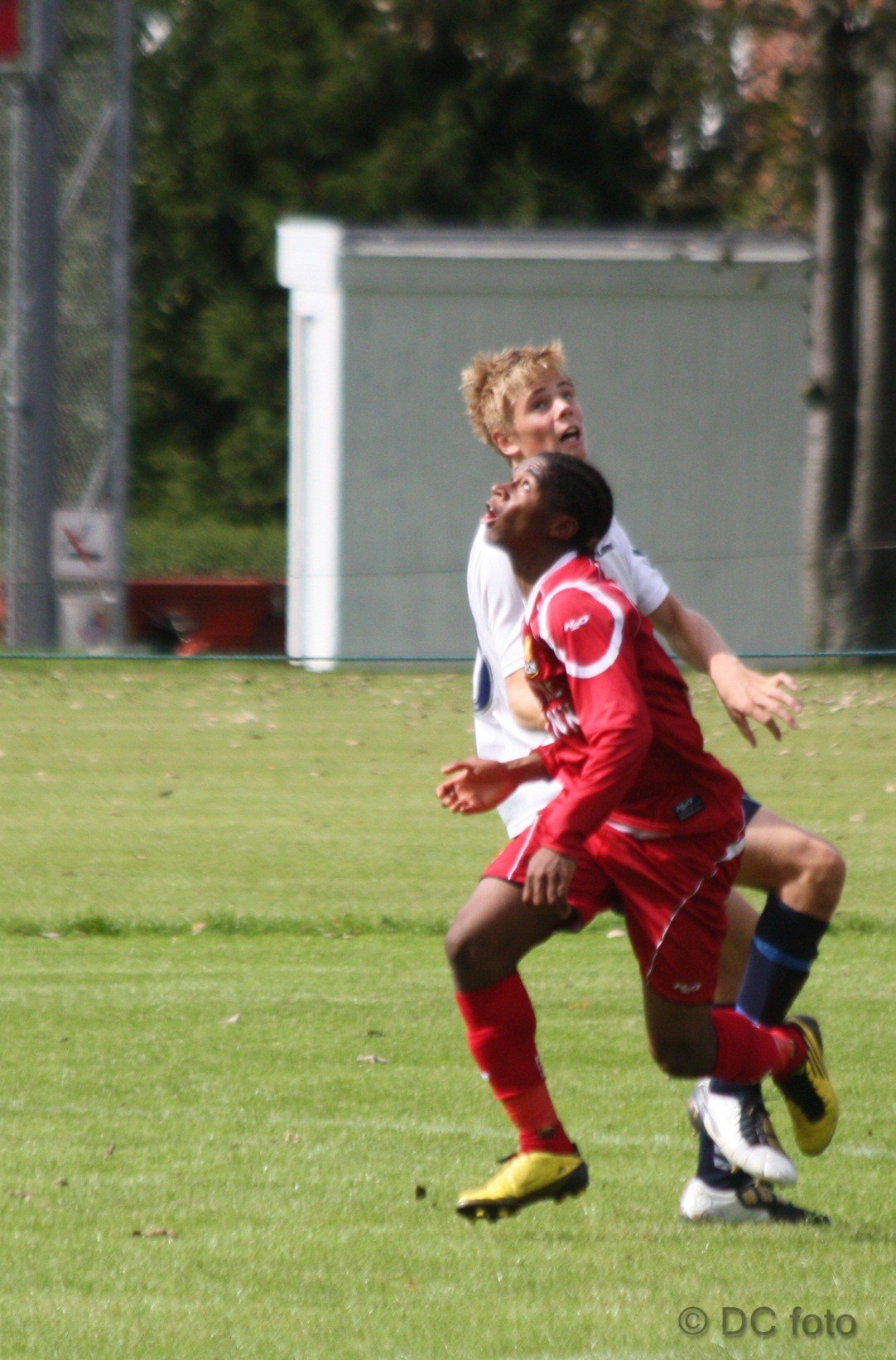 AGF FCN 069