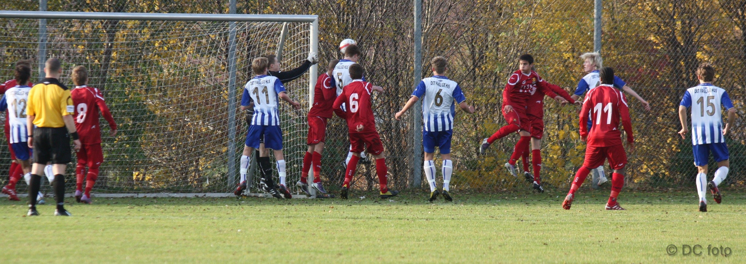 FCN ESB 017