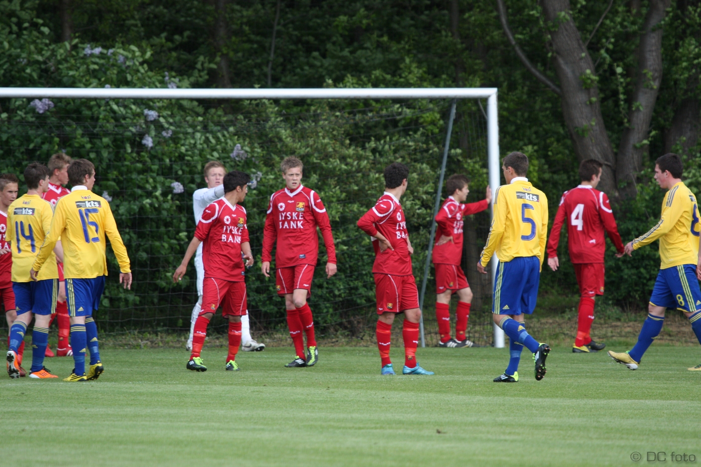 BIF FCN020