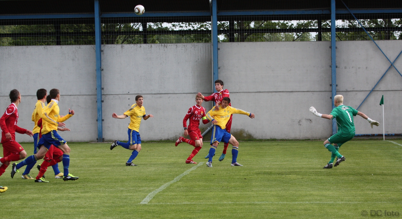 BIF FCN029