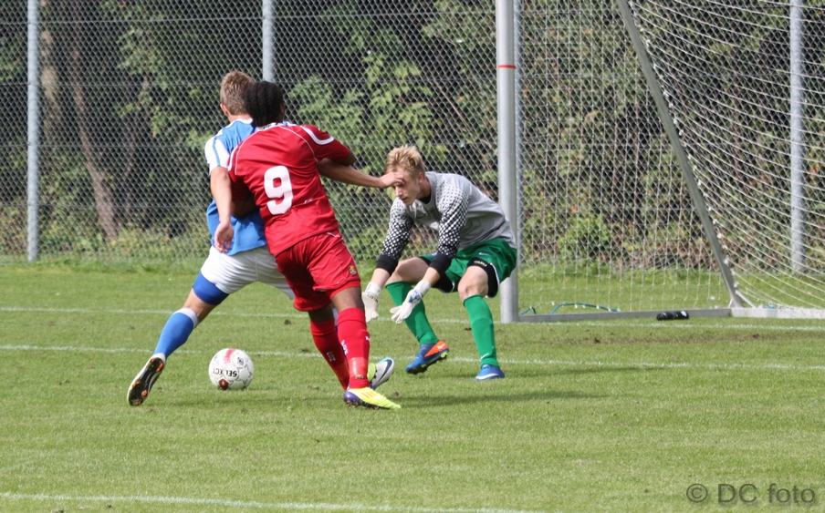 FCN LYN019