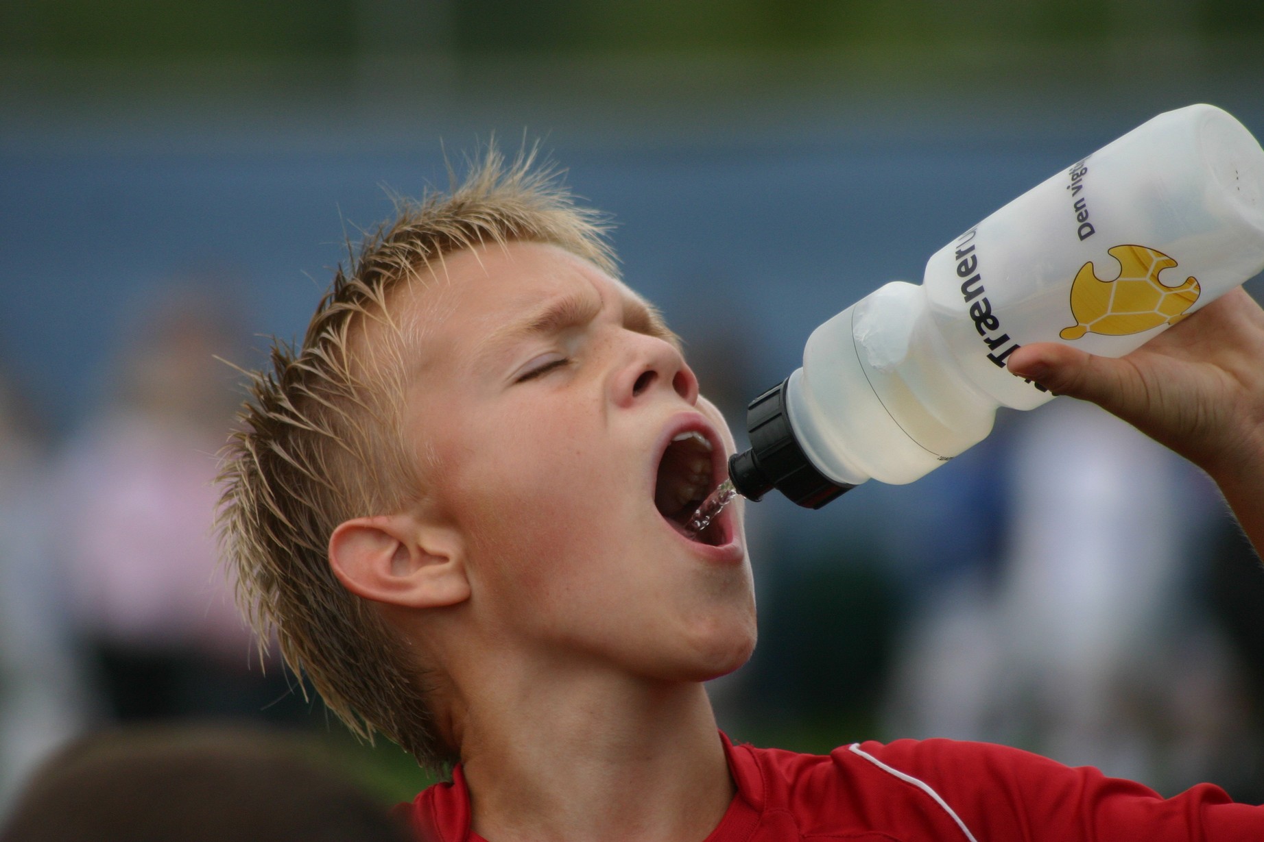 HundigeCup84